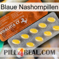 Blue Rhino Pills 42